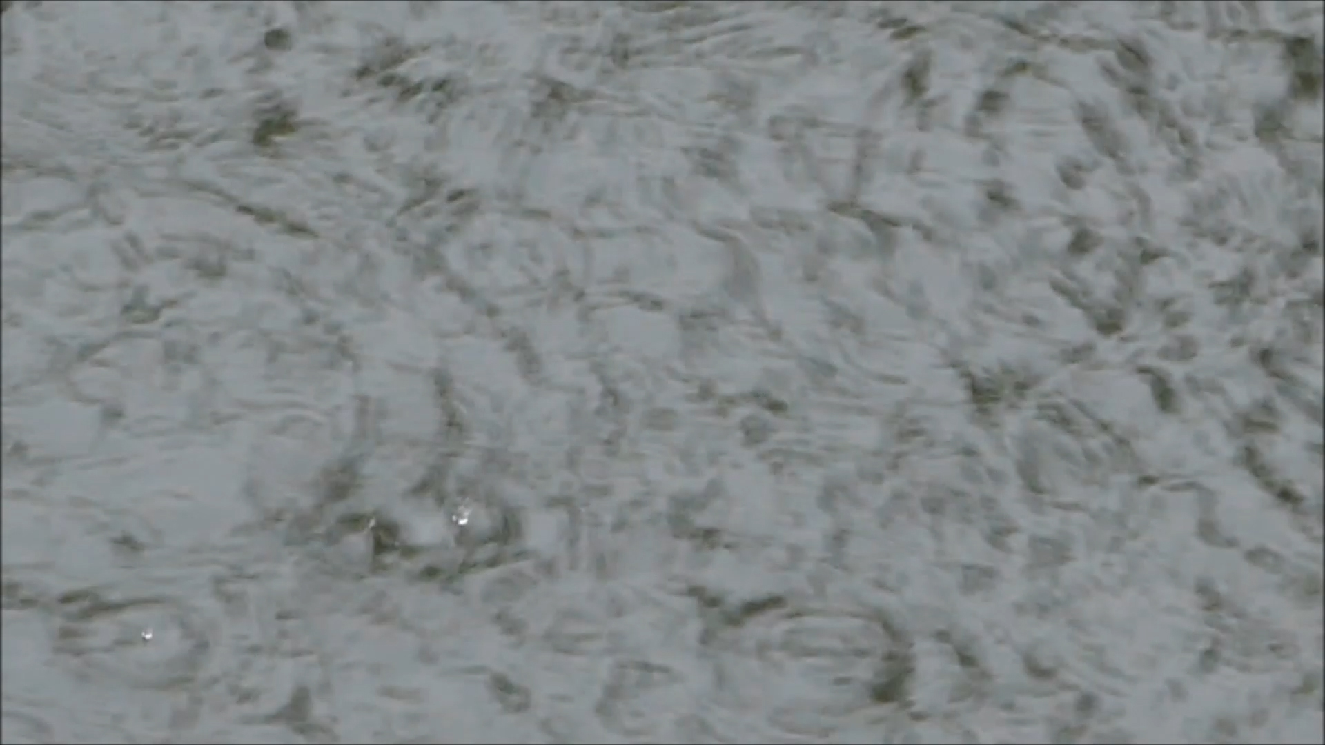 2026-04-19 16 Uhr 47 Kaleidoskop (Fieldrecording Video) (Kamera 1)