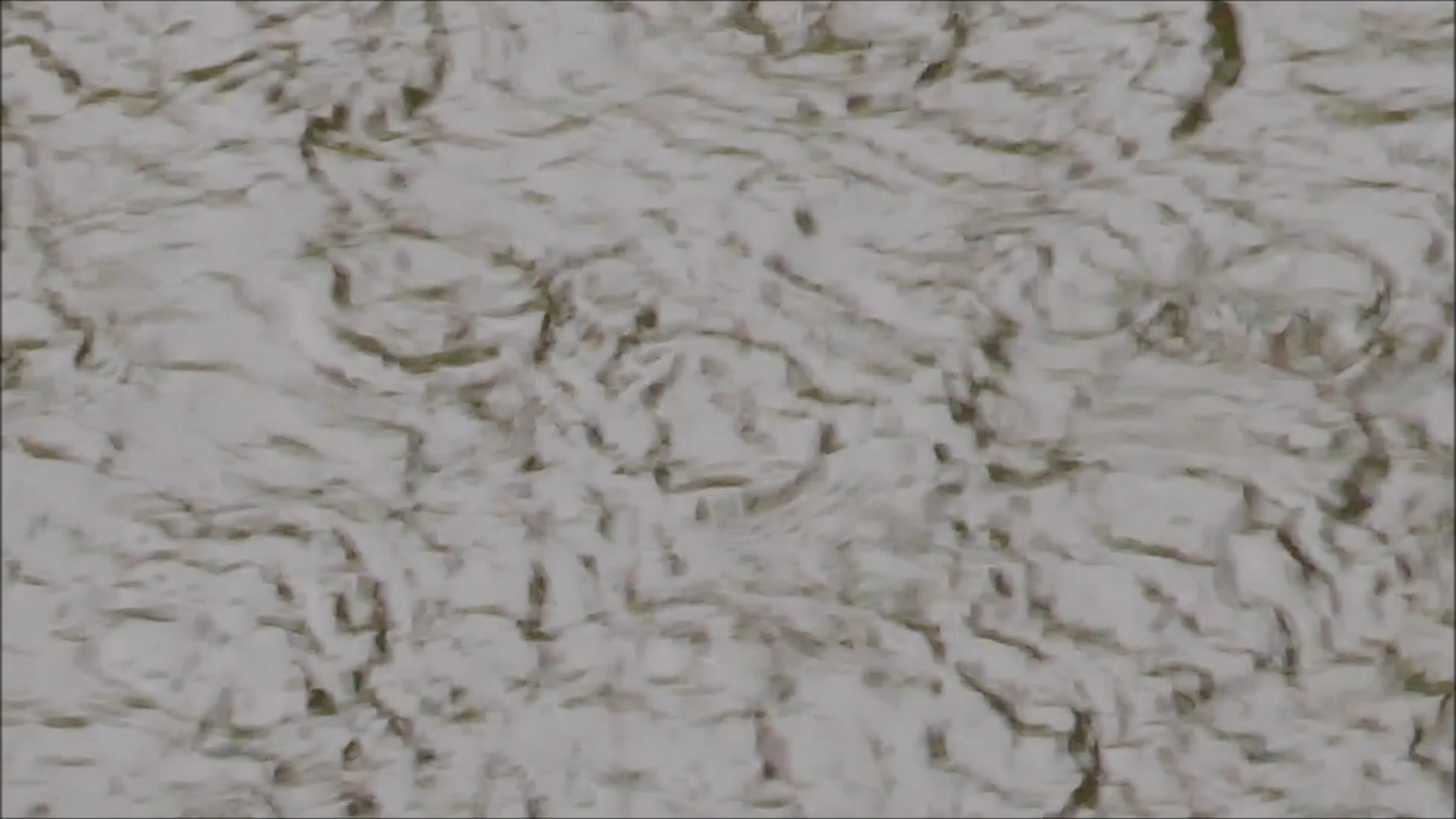 2026-04-19 16 Uhr 47 Kaleidoskop (Fieldrecording Video) (Kamera 2)