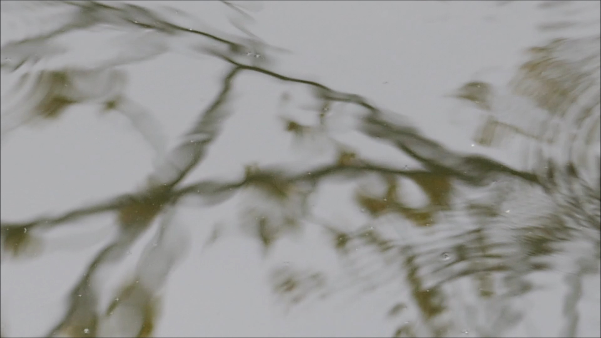 2026-04-20 18 Uhr 02 Kaleidoskop (Fieldrecording Video) (Kamera 1)