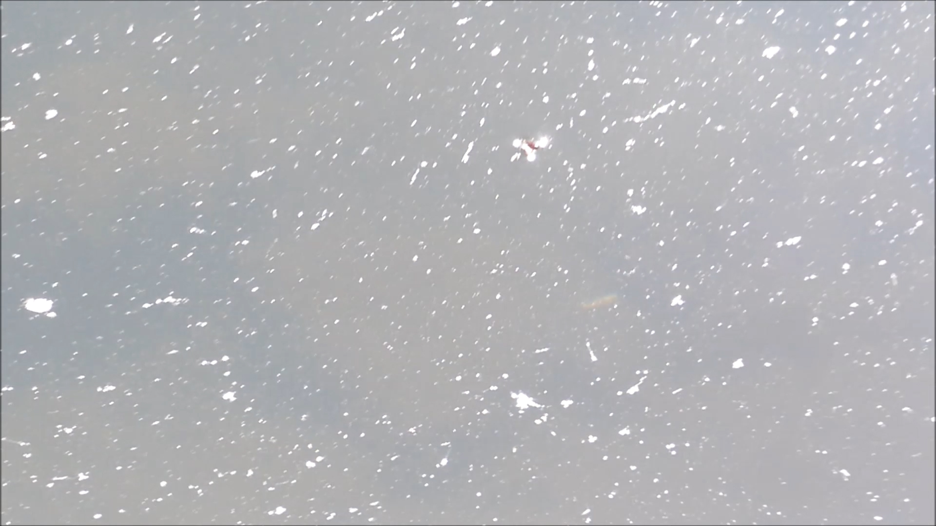 2026-04-22 14 Uhr 53 Kaleidoskop (Fieldrecording Video) (Kamera 2)