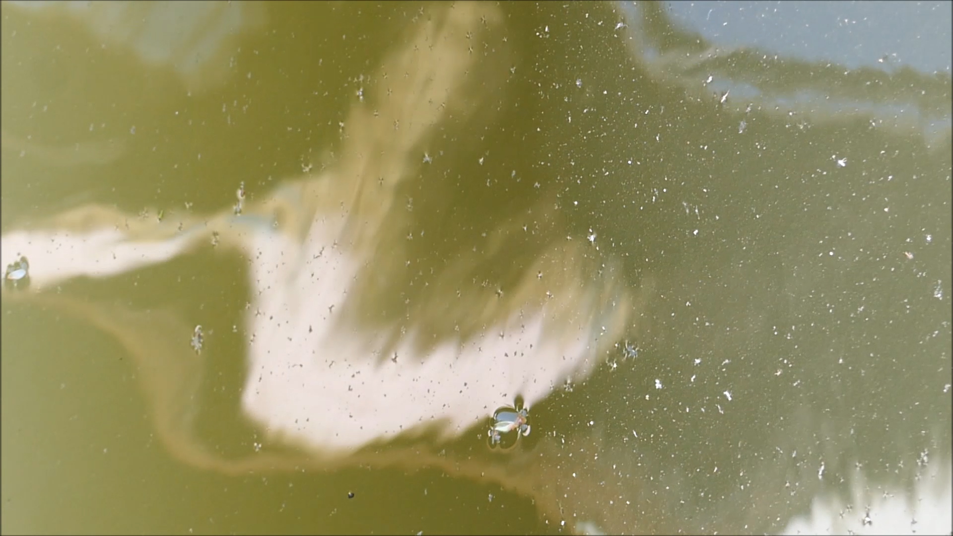2026-04-23 14 Uhr 42 Kaleidoskop (Fieldrecording Video) (Kamera 2)