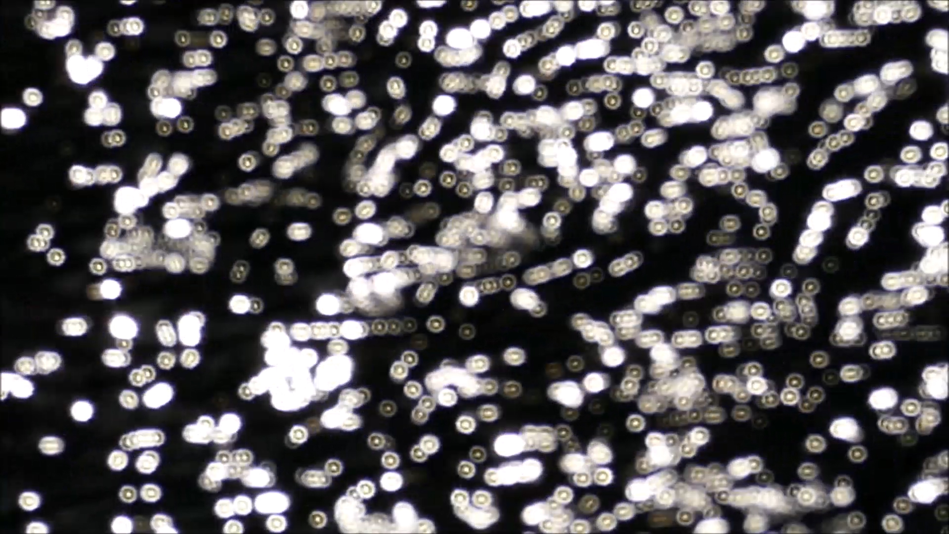 2026-04-28 19 Uhr 13 Kaleidoskop (Fieldrecording Video) (Kamera 2)