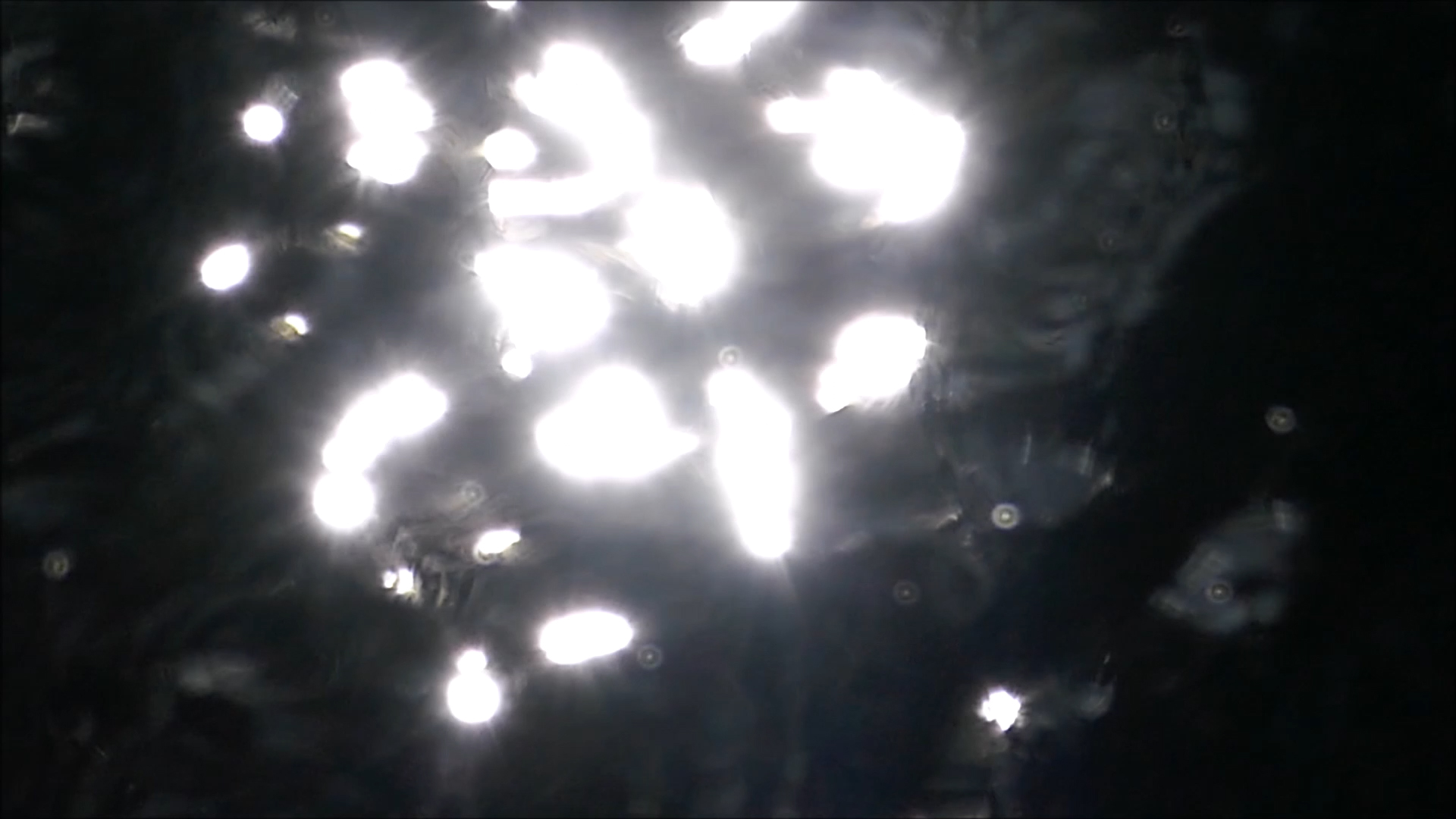 2026-04-29 10 Uhr 50 Kaleidoskop (Fieldrecording Video) (Kamera 2)