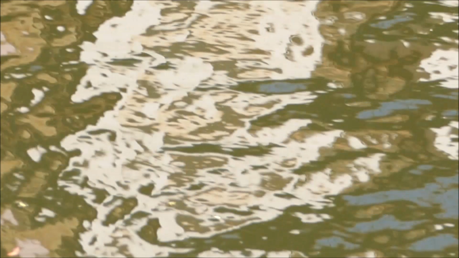2026-04-29 14 Uhr 11 Kaleidoskop (Fieldrecording Video) (Kamera 1)