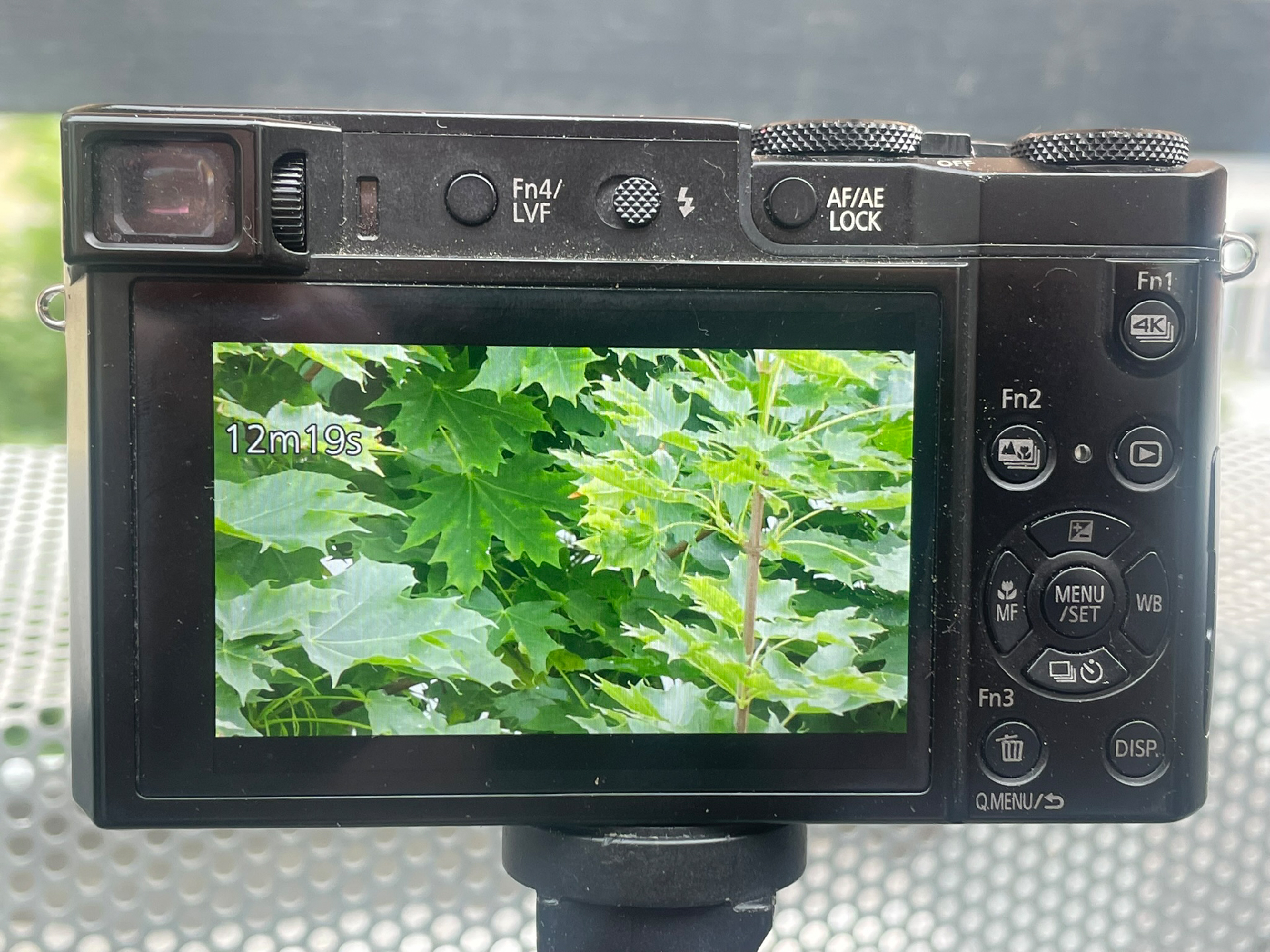 2026-06 der Baum (Fieldrecording Video)
