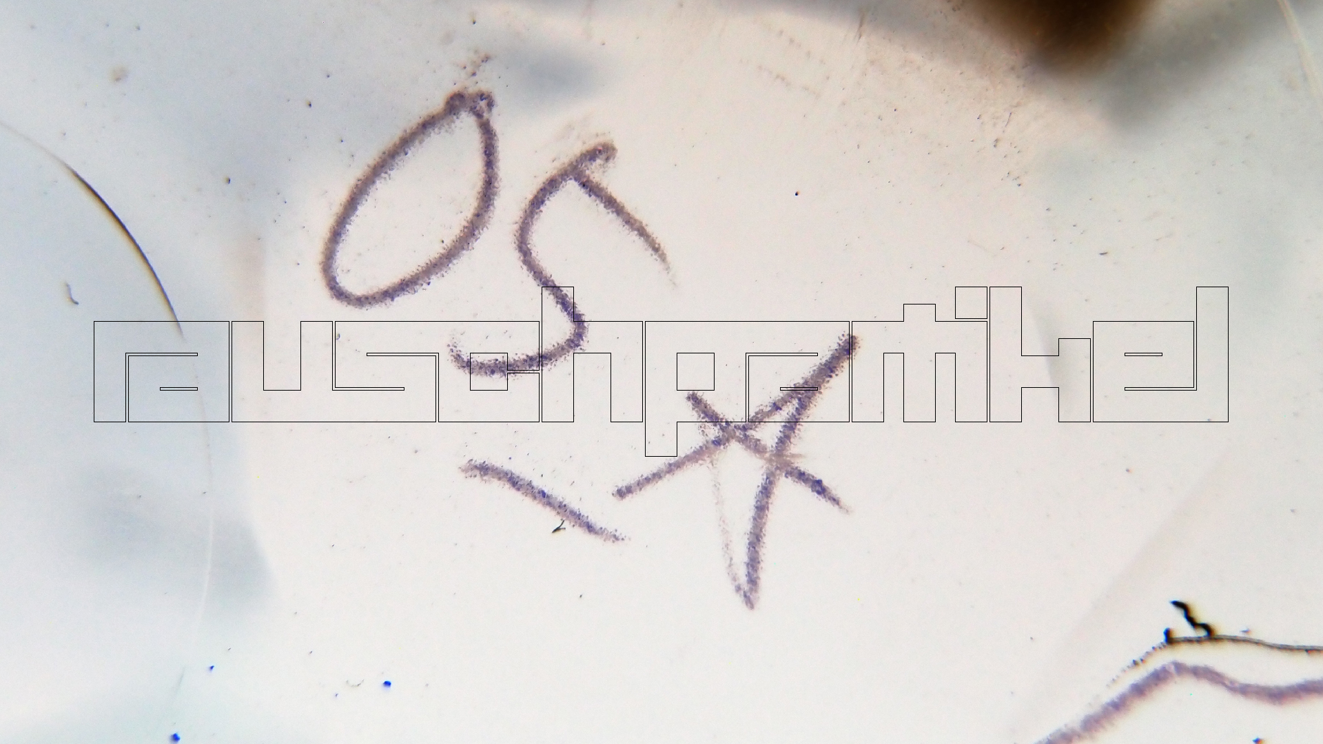 006 Lenco L930 mit Shure N95-3 Nadel