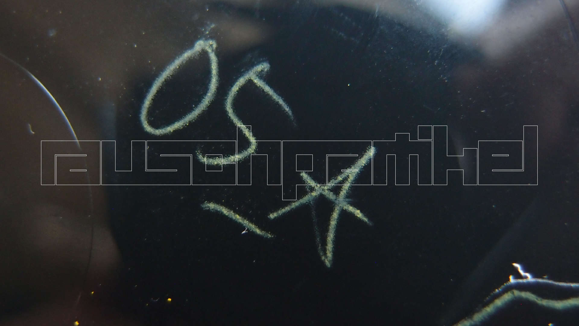 006 Lenco L930 mit Shure N95-3 Nadel