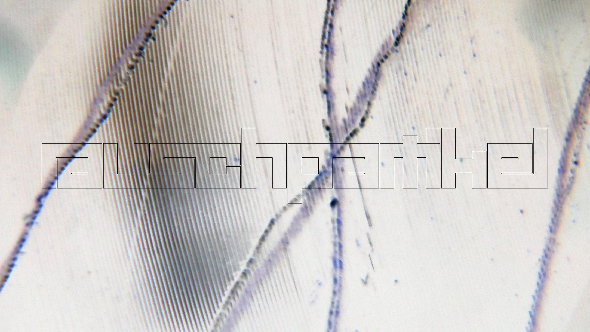 006 Lenco L930 mit Shure N95-3 Nadel