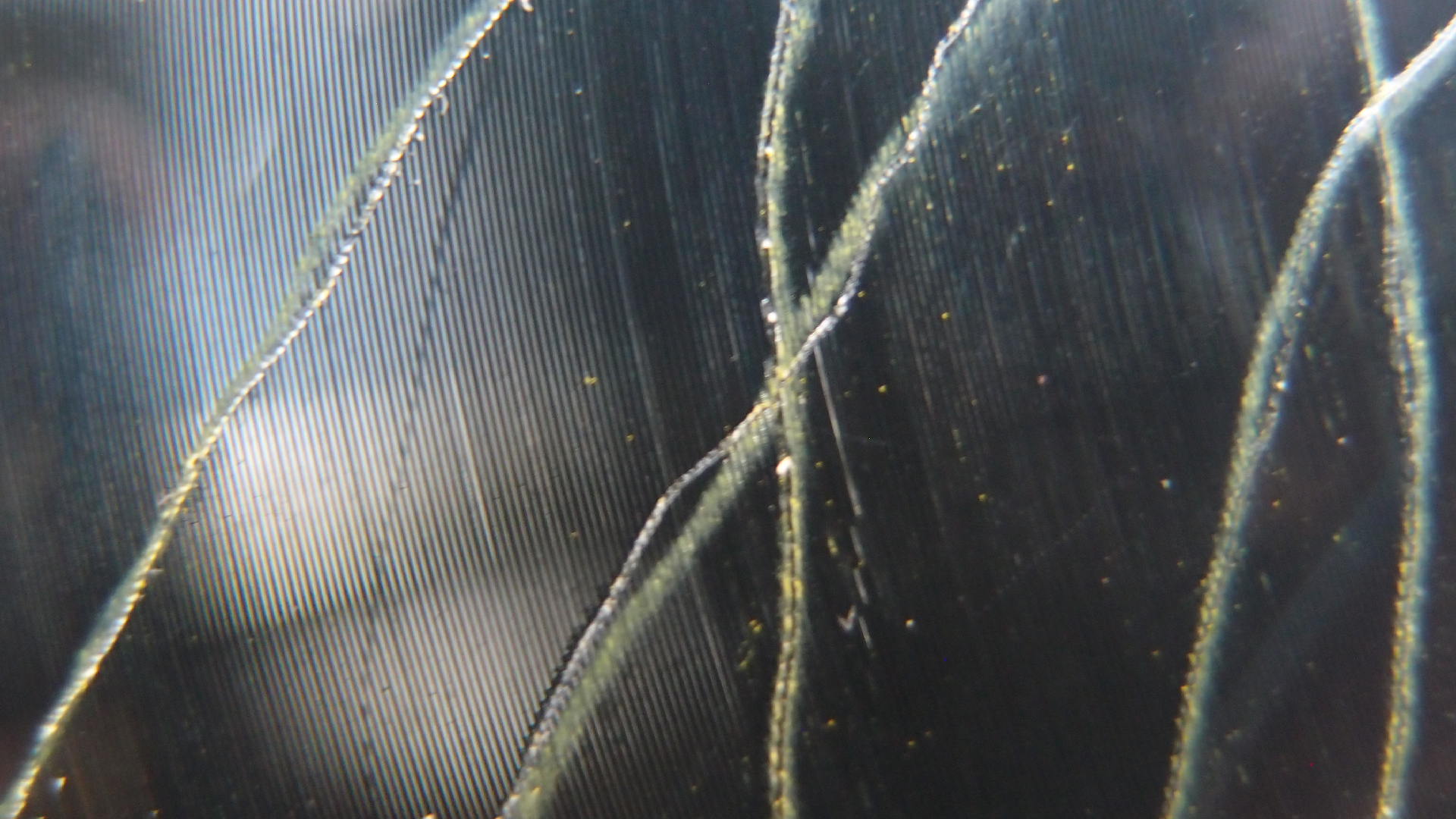 006 Lenco L930 mit Shure N95-3 Nadel