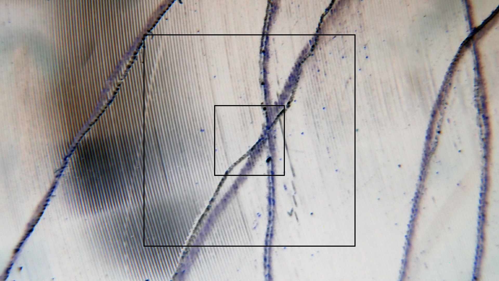 006 Lenco L930 mit Shure N95-3 Nadel