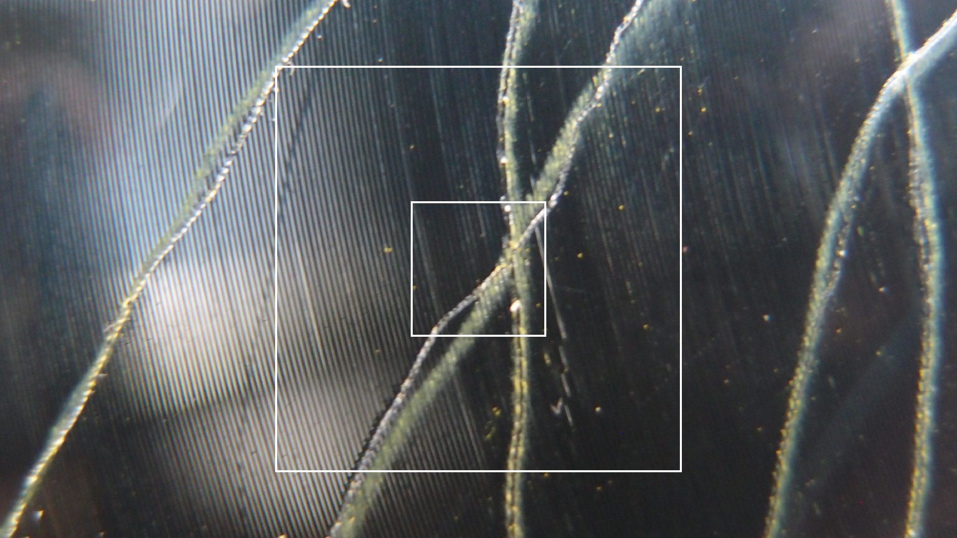 006 Lenco L930 mit Shure N95-3 Nadel