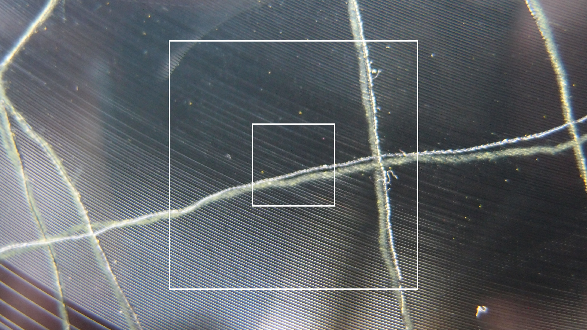 006 Lenco L930 mit Shure N95-3 Nadel