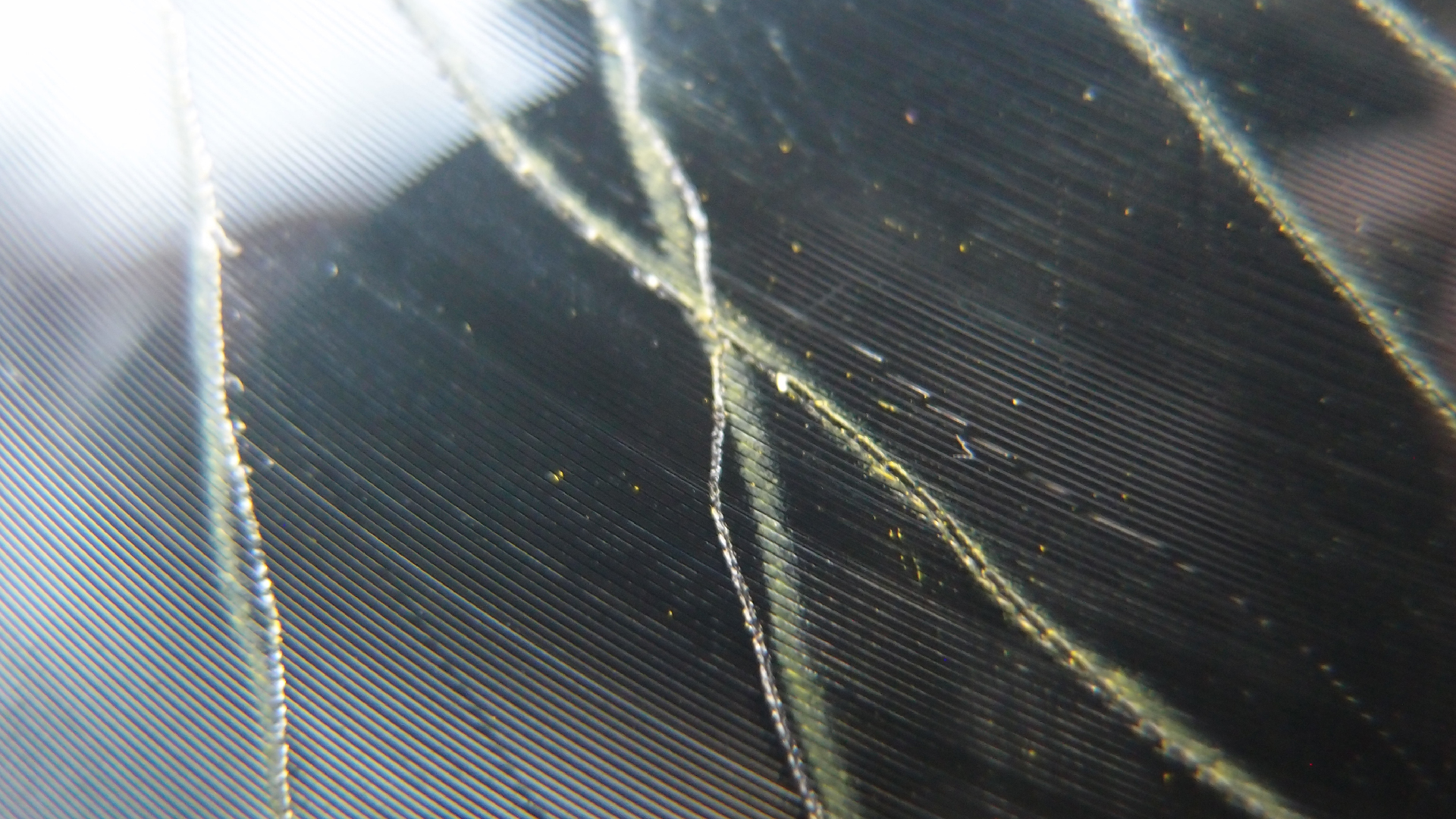 006 Lenco L930 mit Shure N95-3 Nadel