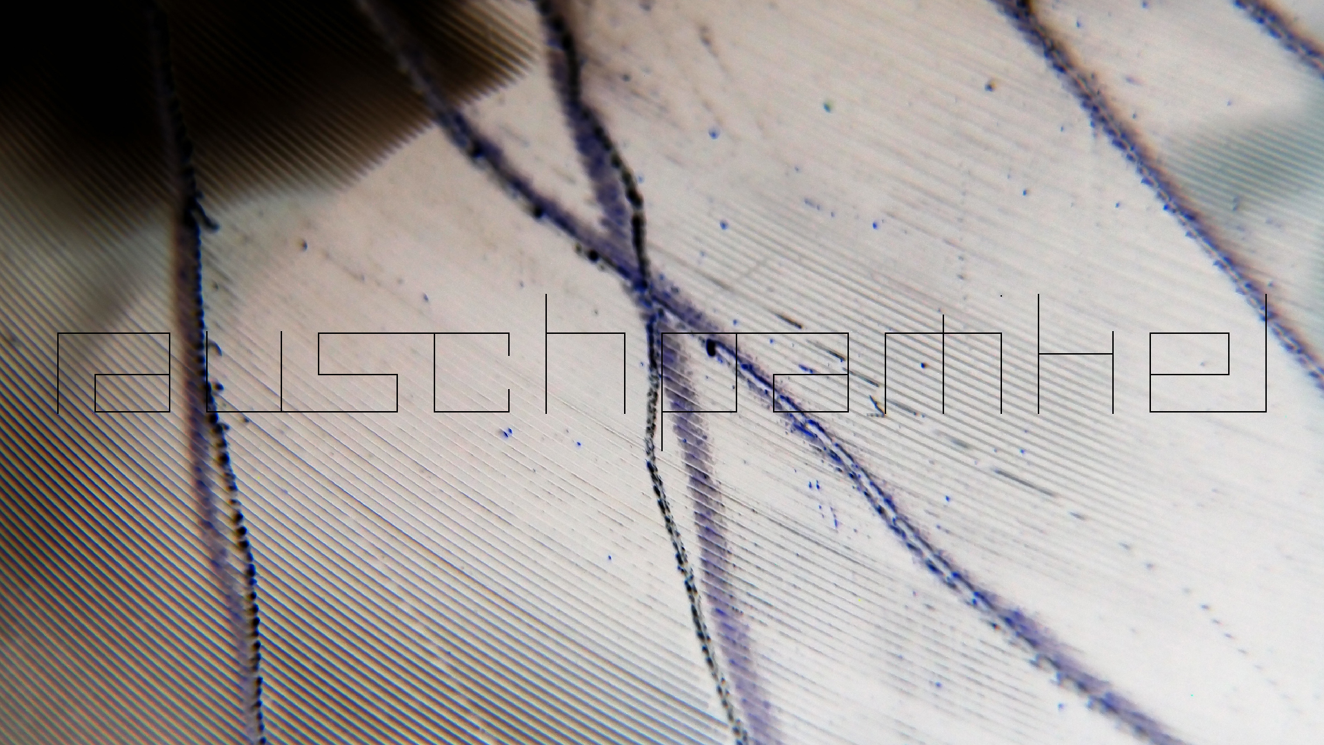 006 Lenco L930 mit Shure N95-3 Nadel