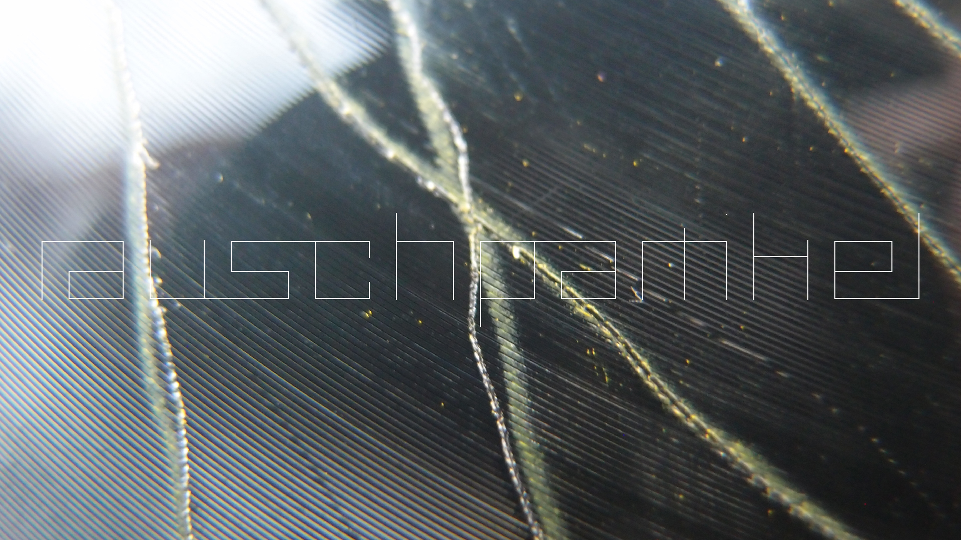 006 Lenco L930 mit Shure N95-3 Nadel