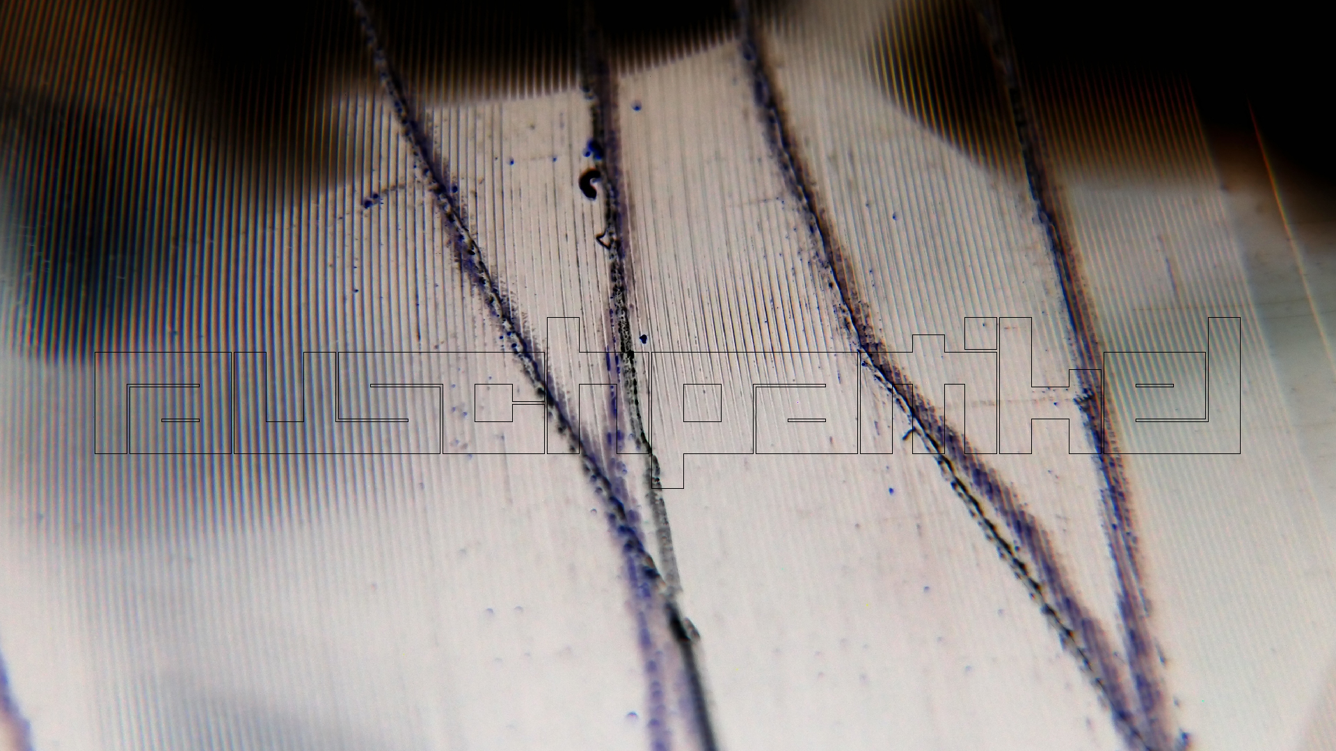 006 Lenco L930 mit Shure N95-3 Nadel