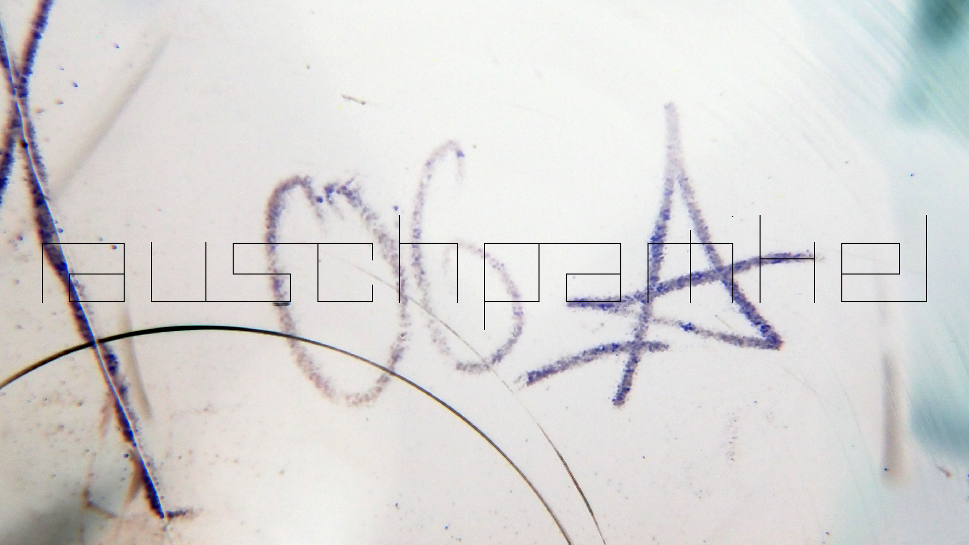 006 Lenco L930 mit Shure N95-3 Nadel