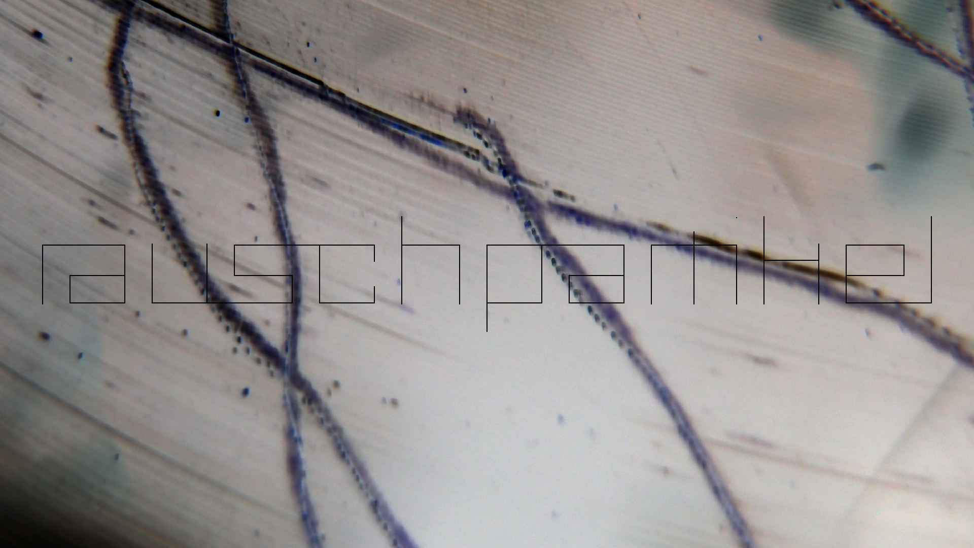 006 Lenco L930 mit Shure N95-3 Nadel