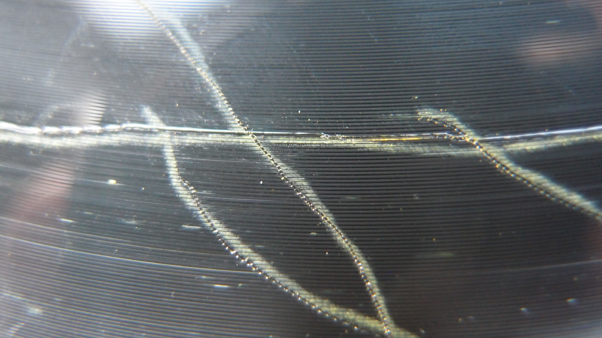 006 Lenco L930 mit Shure N95-3 Nadel