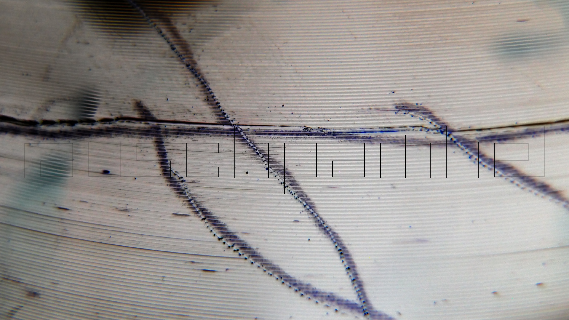 006 Lenco L930 mit Shure N95-3 Nadel