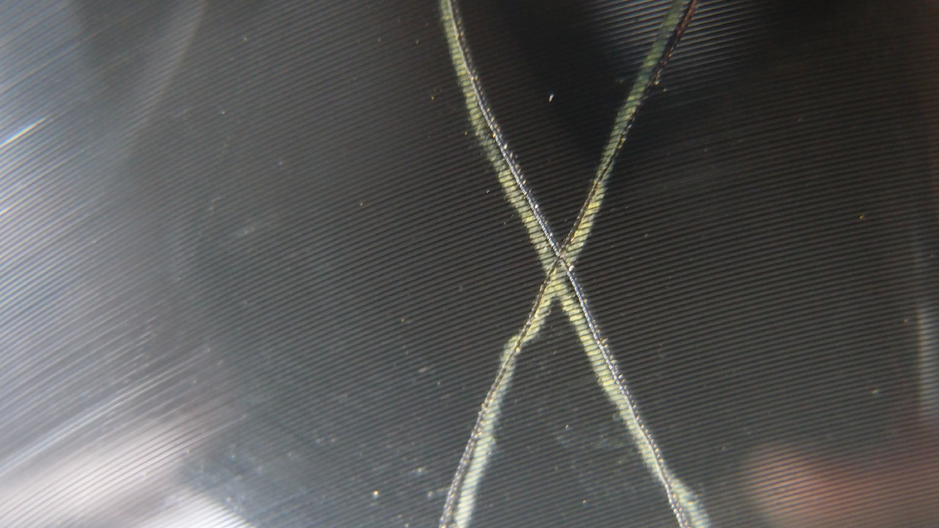 006 Lenco L930 mit Shure N95-3 Nadel