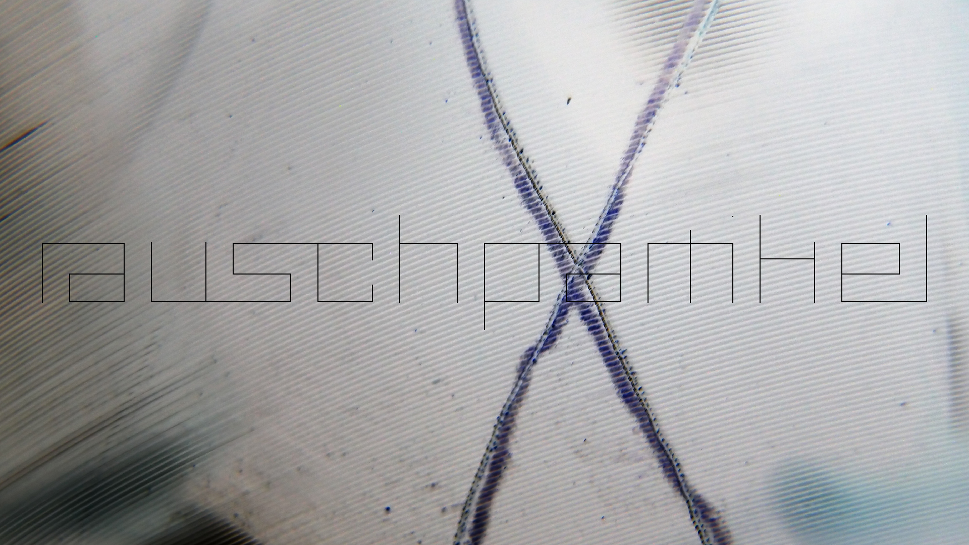 006 Lenco L930 mit Shure N95-3 Nadel