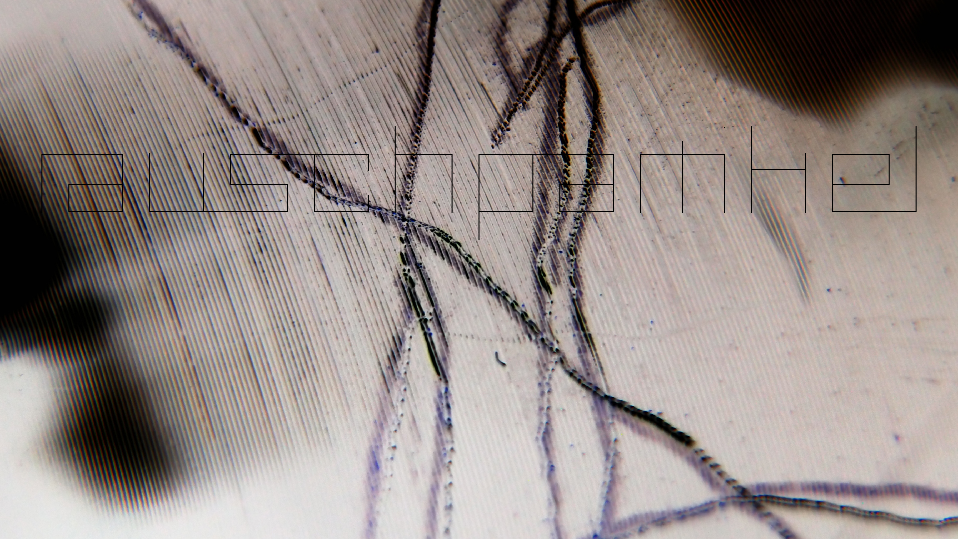 006 Lenco L930 mit Shure N95-3 Nadel