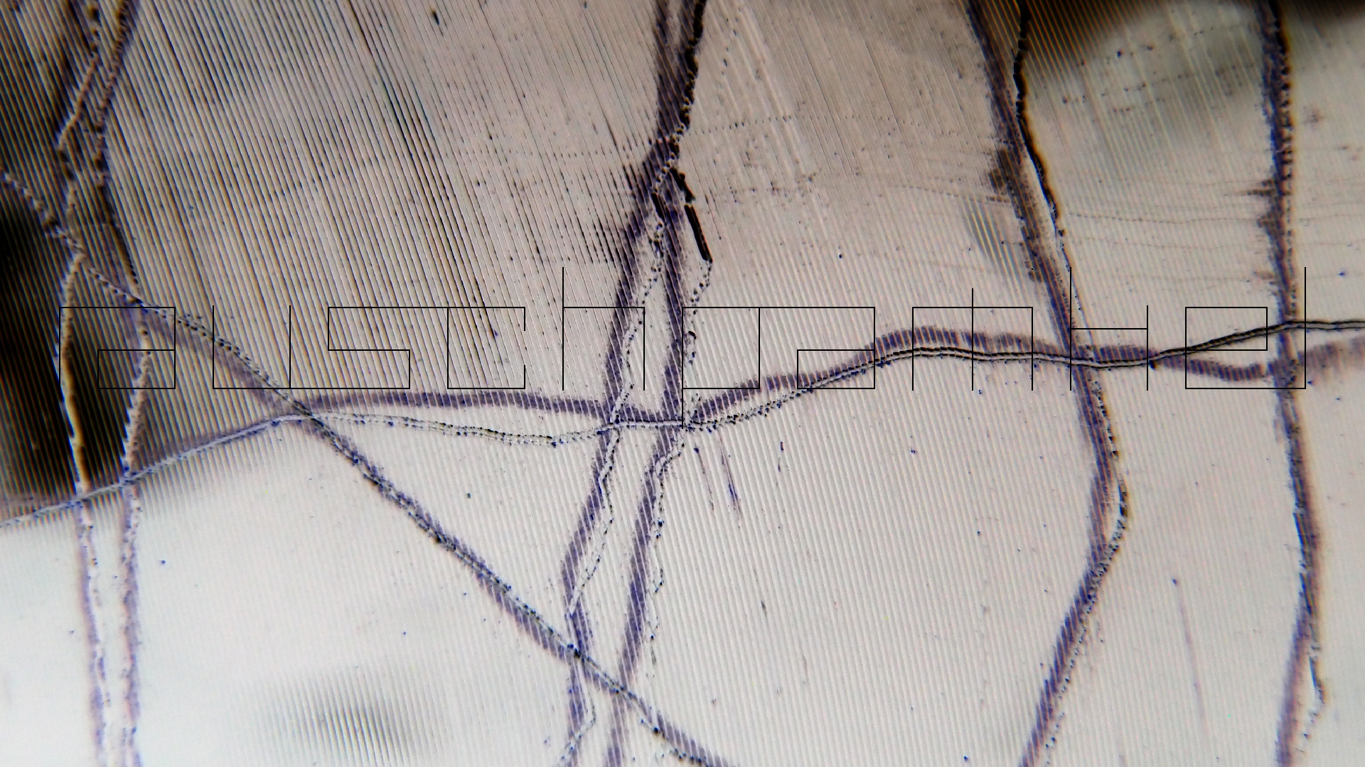 006 Lenco L930 mit Shure N95-3 Nadel