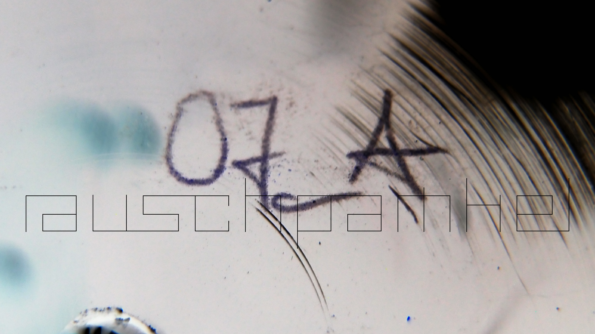 006 Lenco L930 mit Shure N95-3 Nadel