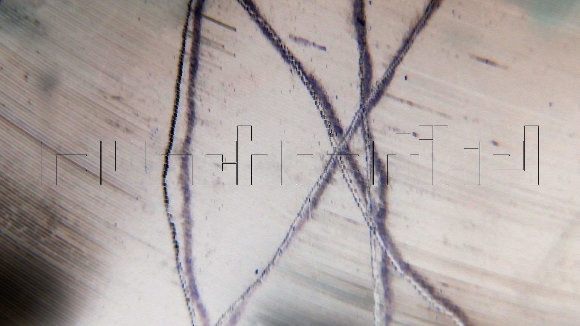 006 Lenco L930 mit Shure N95-3 Nadel