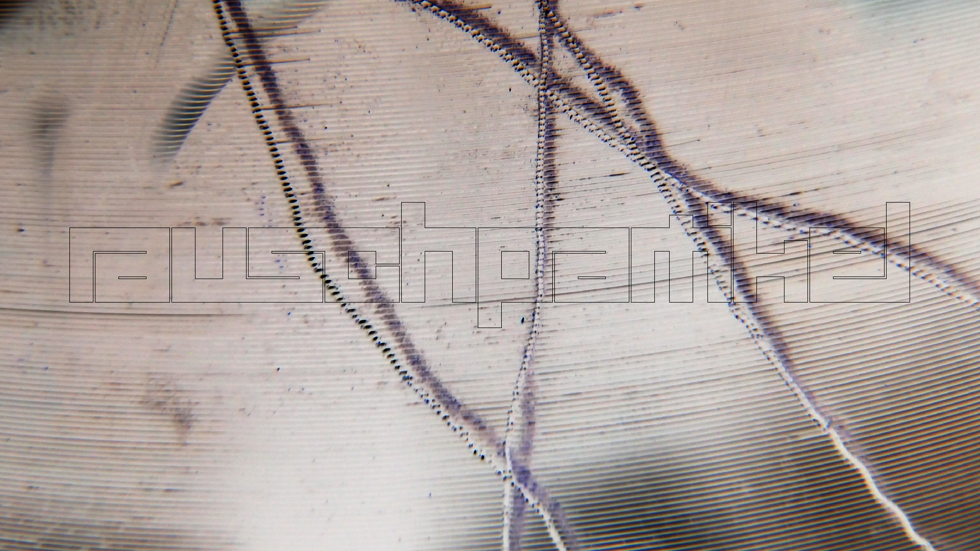 006 Lenco L930 mit Shure N95-3 Nadel