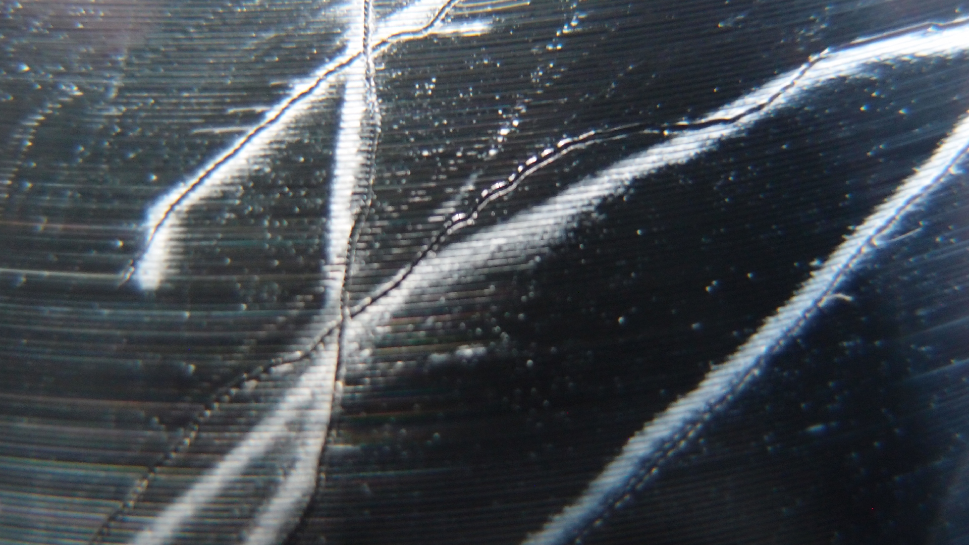 006 Lenco L930 mit Shure N95-3 Nadel