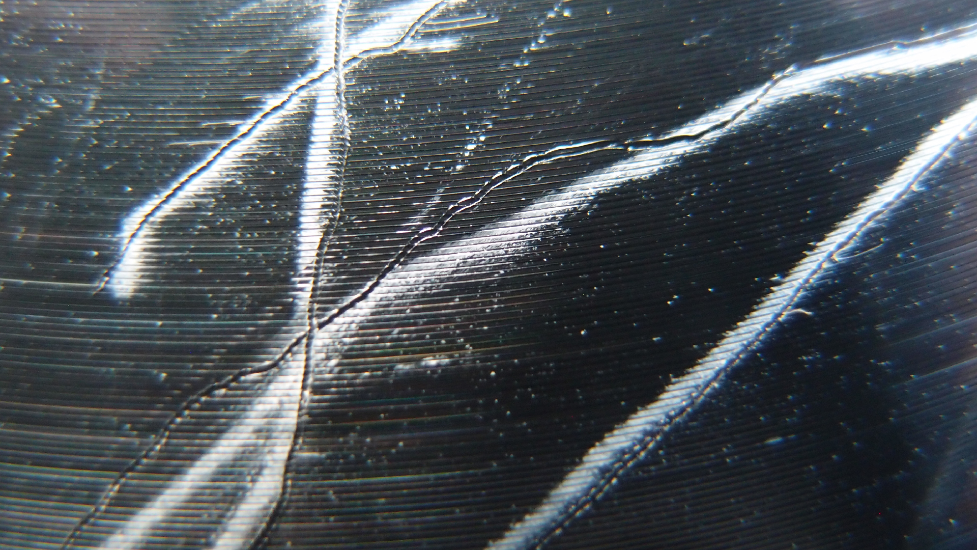 006 Lenco L930 mit Shure N95-3 Nadel