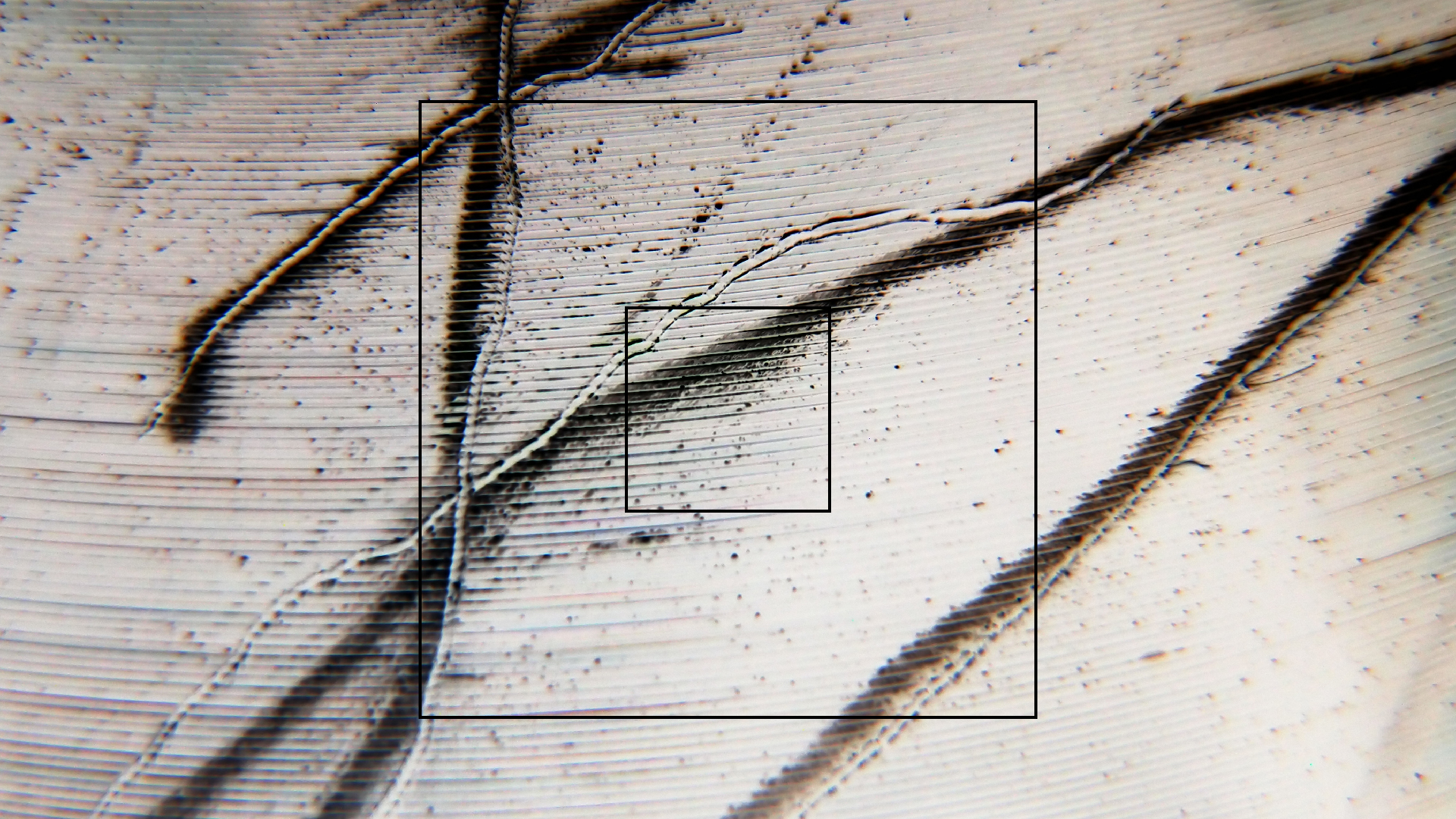 006 Lenco L930 mit Shure N95-3 Nadel