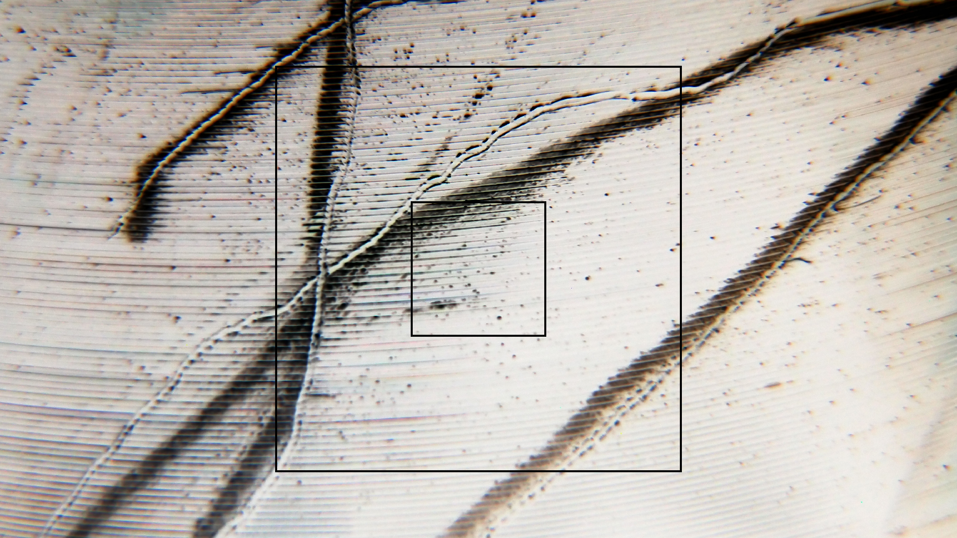 006 Lenco L930 mit Shure N95-3 Nadel