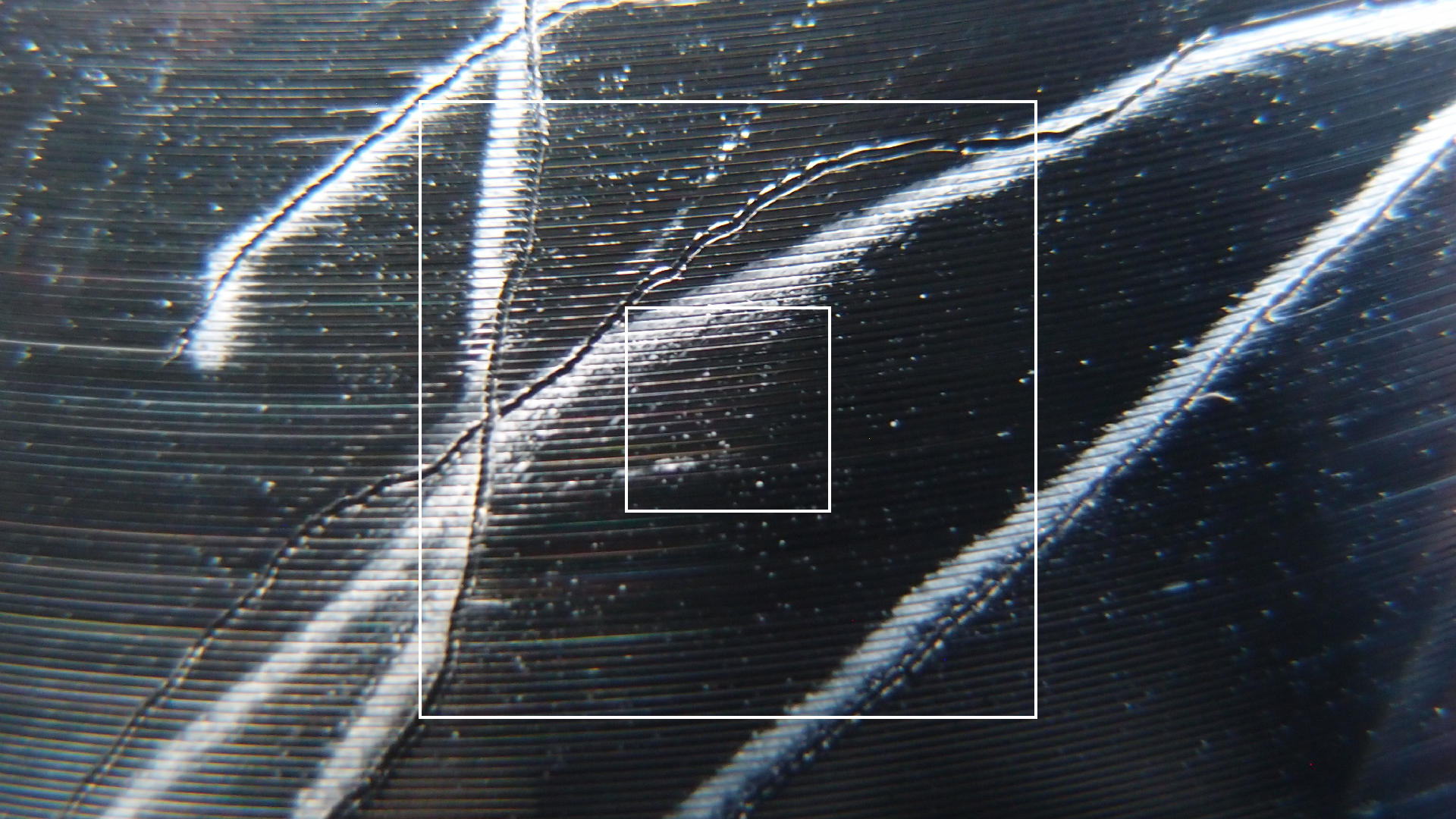 006 Lenco L930 mit Shure N95-3 Nadel