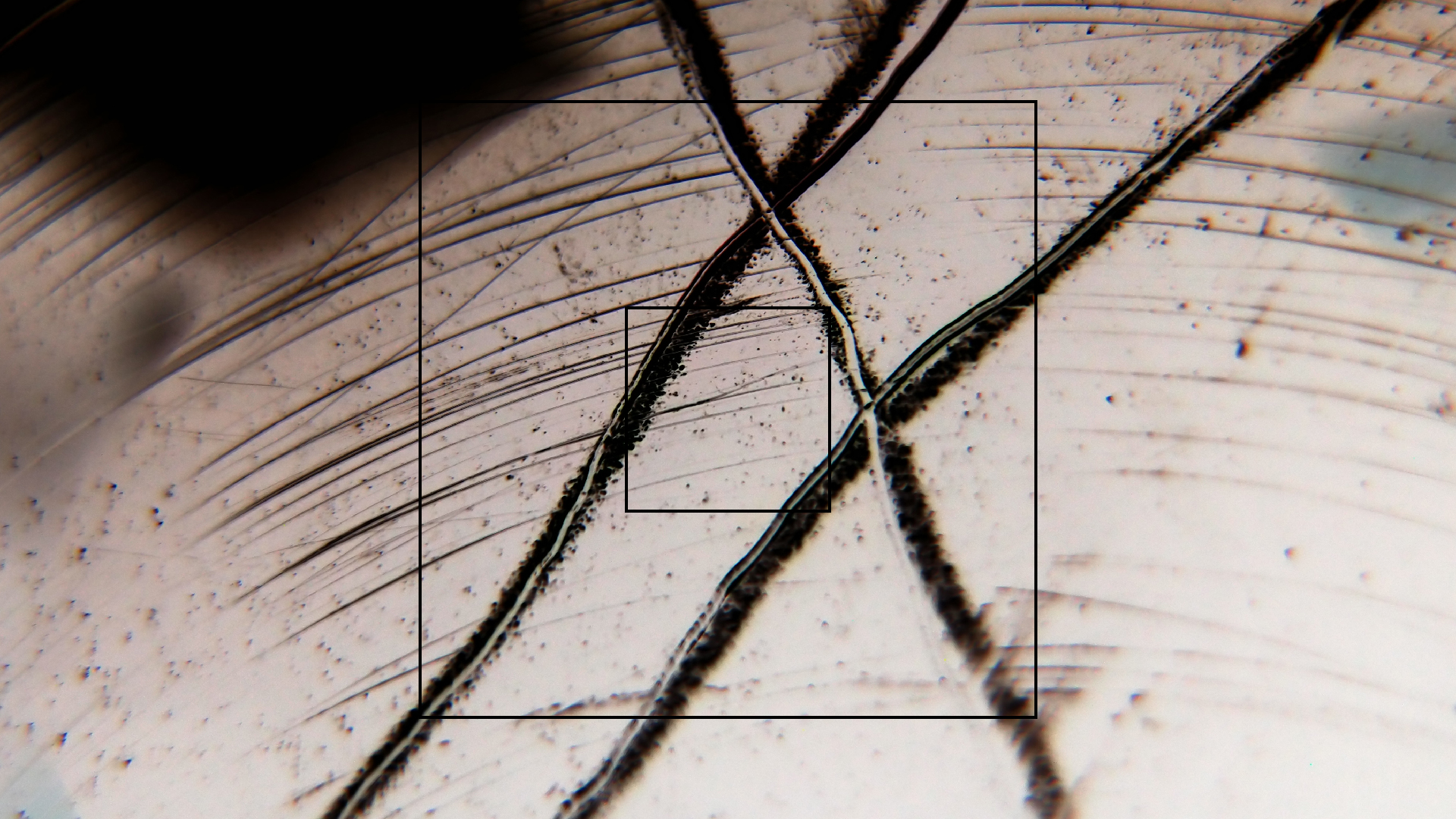 006 Lenco L930 mit Shure N95-3 Nadel